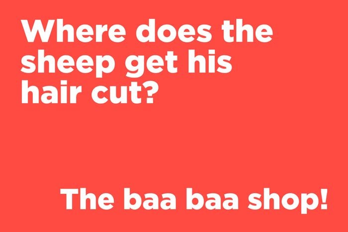 101 Short Jokes