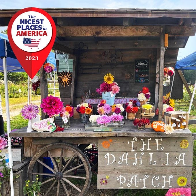 What Cheer was founded by two gardeners who often gave away flowers from their own gardens and wanted the idea to grow.