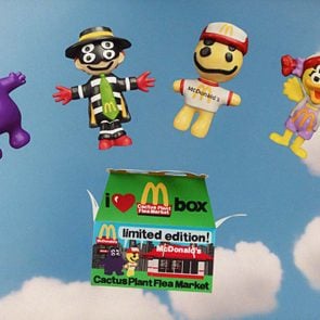 Toh 3 2 Cactus Plant Flea Market X Mcdonalds Box W Figurines Courtesy Mcdonalds Rd Syndication